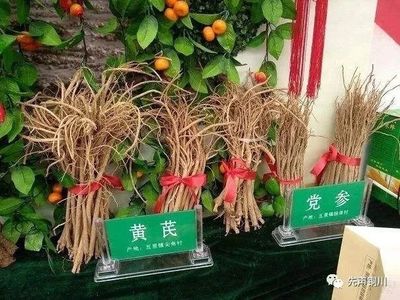 铜川第三届扶贫产品交易会与药品经营 共筑健康与小康
