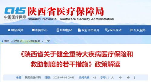 陕西省健全重特大疾病医疗保险和救助制度 药品经营角度的政策解读